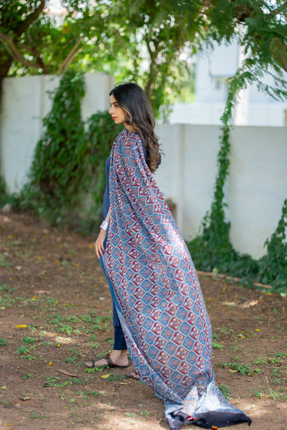 Tiksha suit set - side view showing full ajrakh dupatta